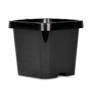 Square 0.15L 66mm pot