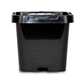 Square 0.15L 66mm pot