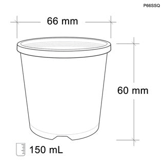 Square 0.15L 66mm pot