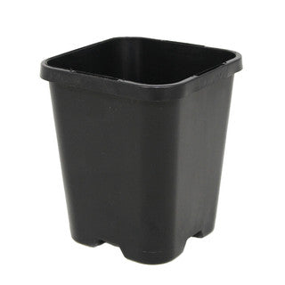 Square 0.25L 85mm Pot