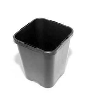 Square 0.25L 85mm Pot